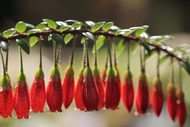 珠海金湾区3私人快速借钱网，轻松解决资金难题