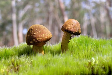 珠海金湾区3私人老板放款：轻松融资的秘密通道